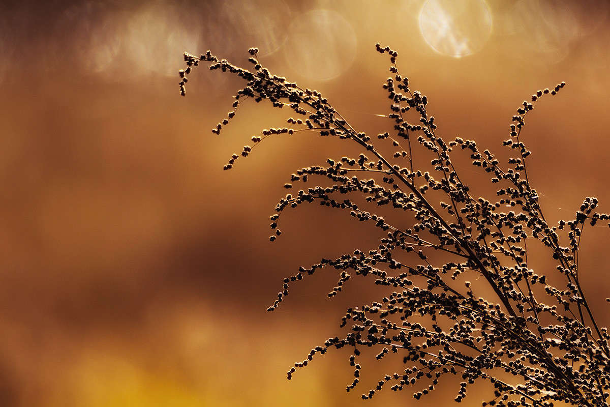 *** ����� ������� ������� �� PhotoGeek.ru #���������