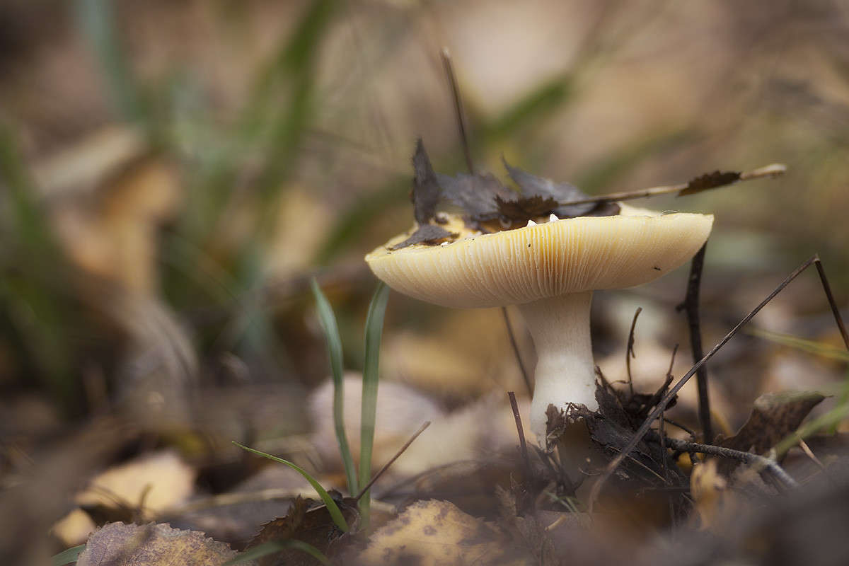 *** ����� ������� ������� �� PhotoGeek.ru #����� ��������������