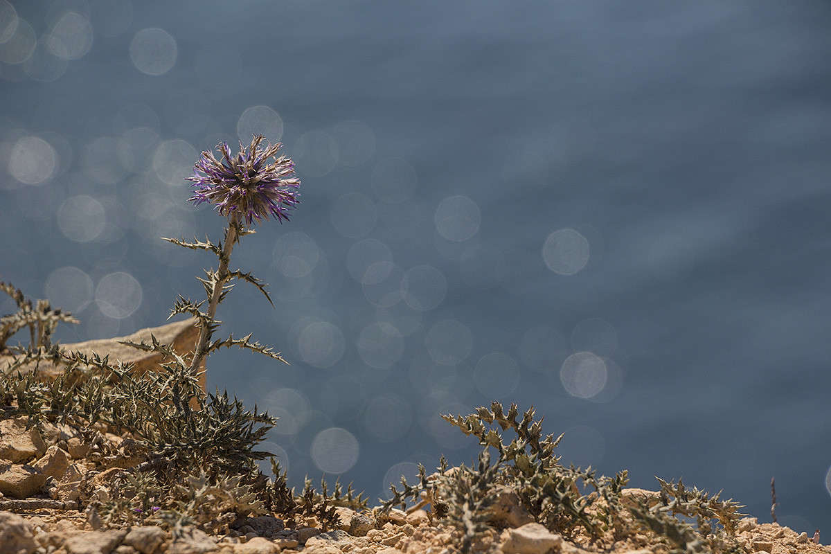 ������� "���������" ����� ������� ������� �� PhotoGeek.ru #����� ��������������