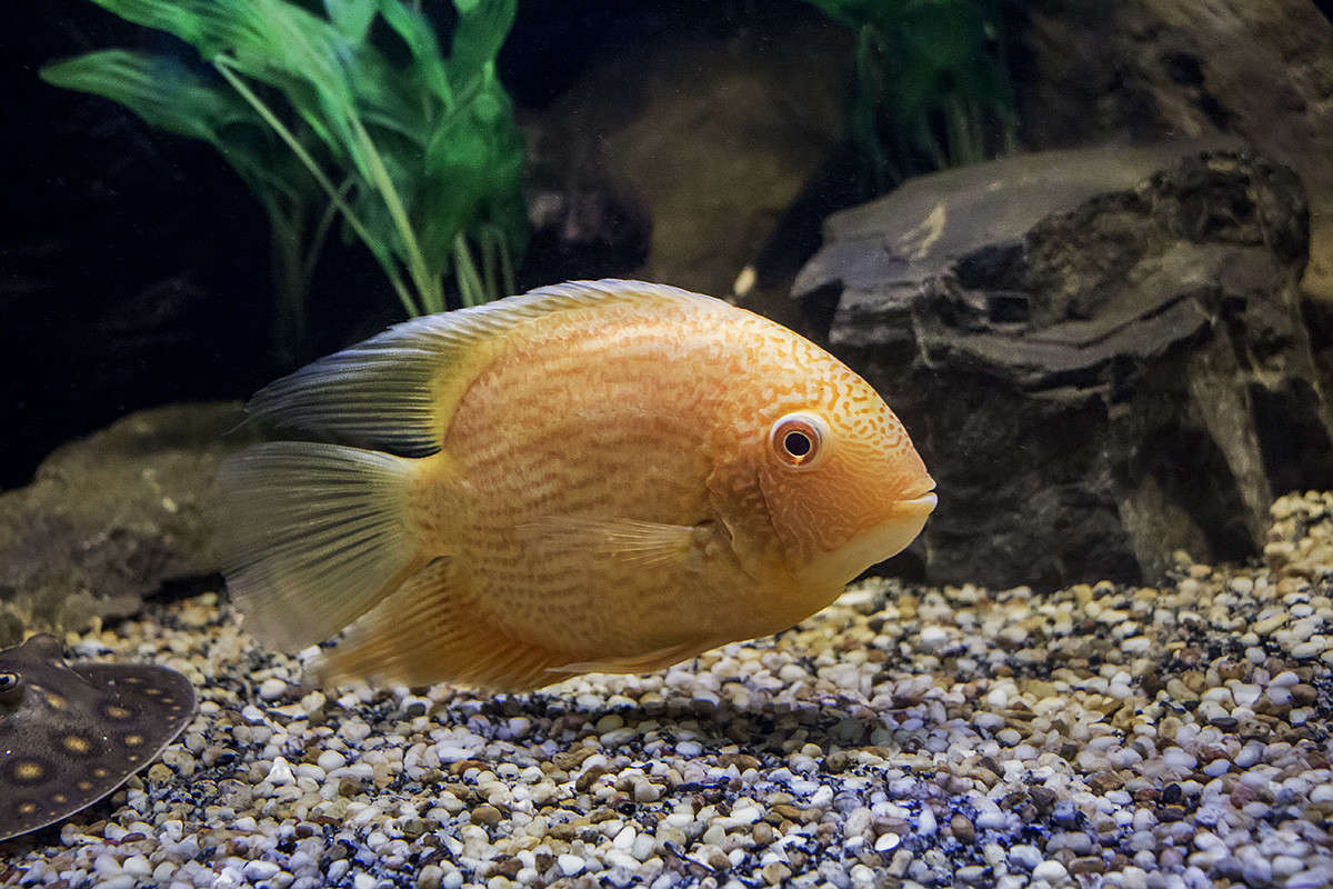 *** ����� ������� ������� �� PhotoGeek.ru #�������� ���