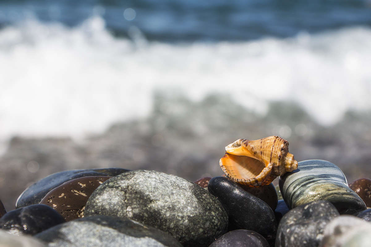 �� ������ ������� ���� ����� ������� ������� �� PhotoGeek.ru #������