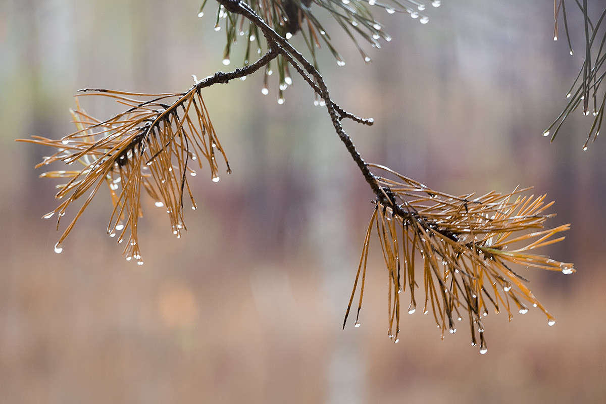 *** ����� ������� ������� �� PhotoGeek.ru #����� ��������������
