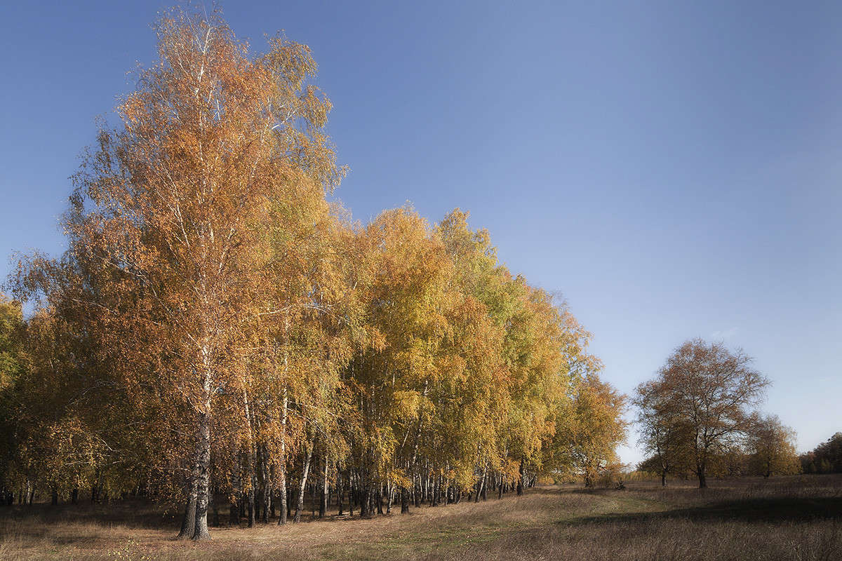 ������� ����� ����� ������� ������� �� PhotoGeek.ru #������ ��� �������