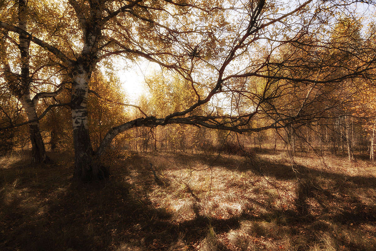 � ������� ����� ������� ����� ������� ������� �� PhotoGeek.ru #������ ��� �������