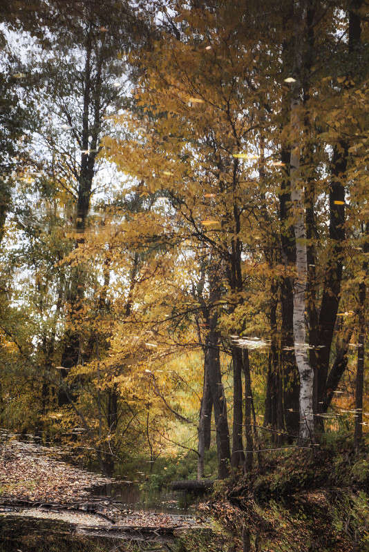 ��������� ����� ������� ������� �� PhotoGeek.ru #������ ��� �������