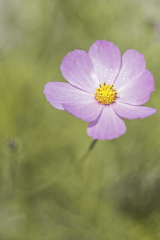 *** ����� ������� ������� �� PhotoGeek.ru #����� ��������������