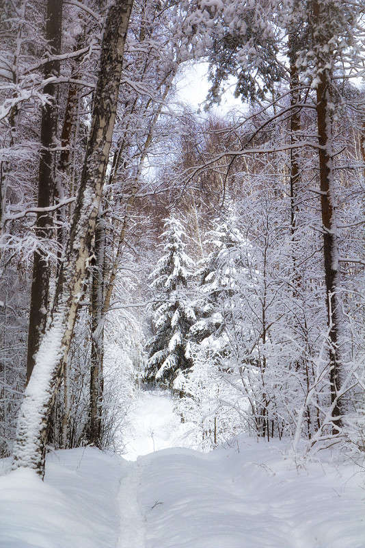 ������ � ���� ����� ������� ������� �� PhotoGeek.ru #������ ��� �������