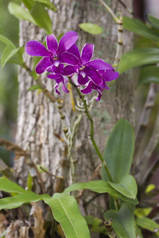 *** ����� ������� ������� �� PhotoGeek.ru #����� ��������������