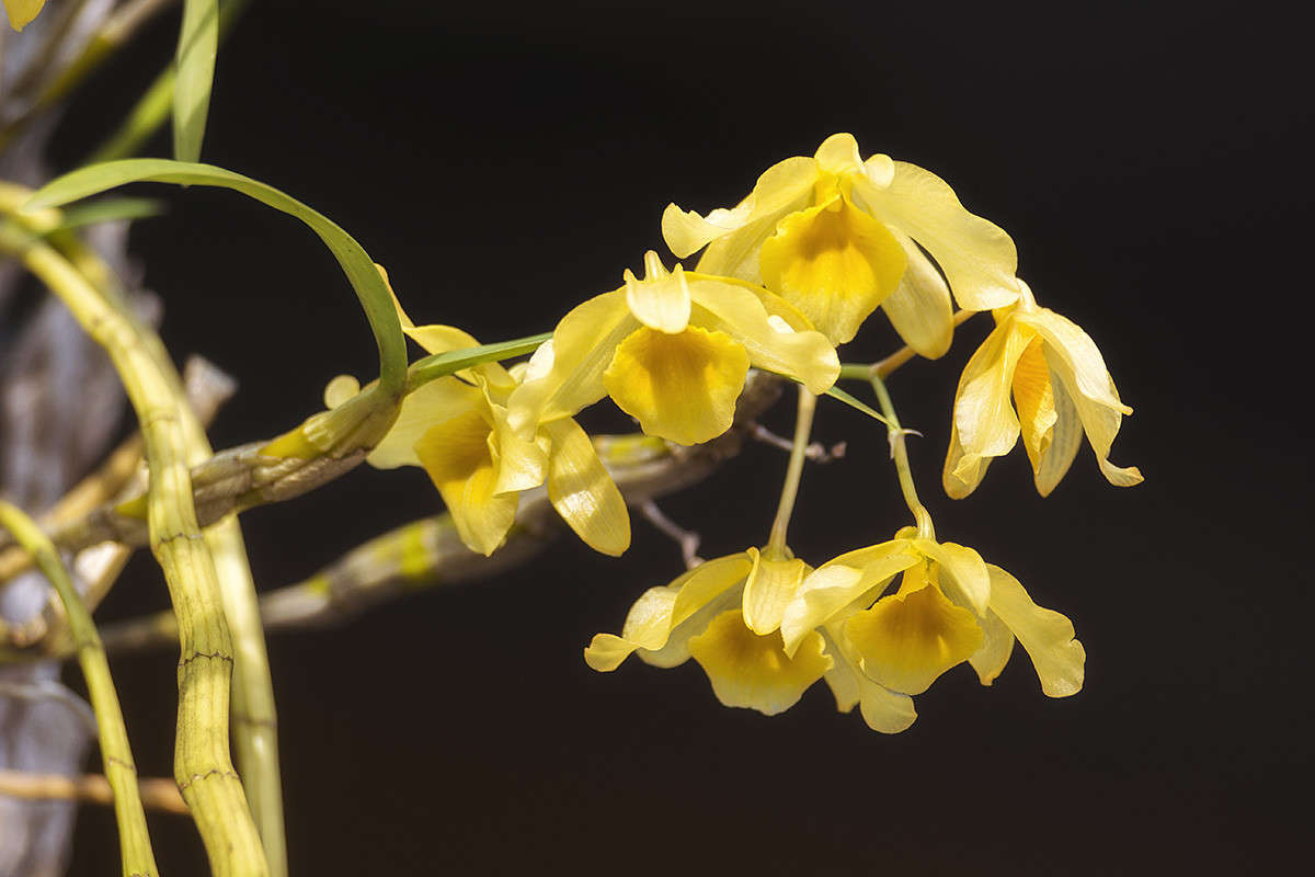 ����� ������� ����� ������� ������� �� PhotoGeek.ru #����� ��������������