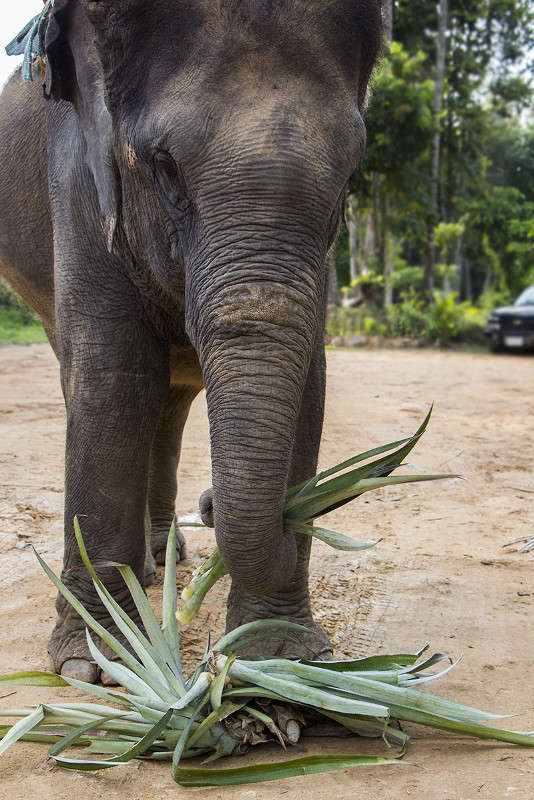 �������� �������� ����� ������� ������� �� PhotoGeek.ru #�������� ���