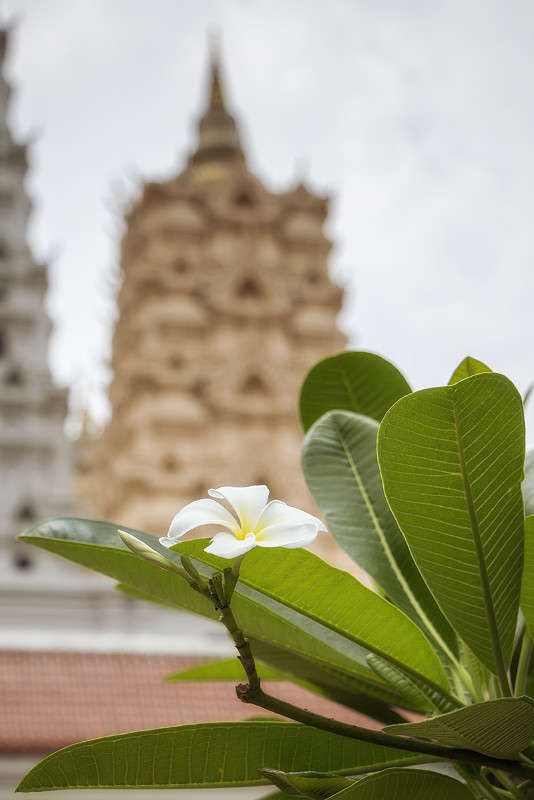 *** ����� ������� ������� �� PhotoGeek.ru #����� ��������������