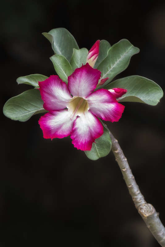 *** ����� ������� ������� �� PhotoGeek.ru #����� ��������������