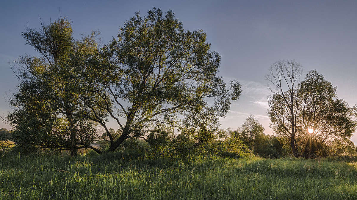 ������ ������ ������ ��� ����� ������� ������� �� PhotoGeek.ru #������ ��� �������