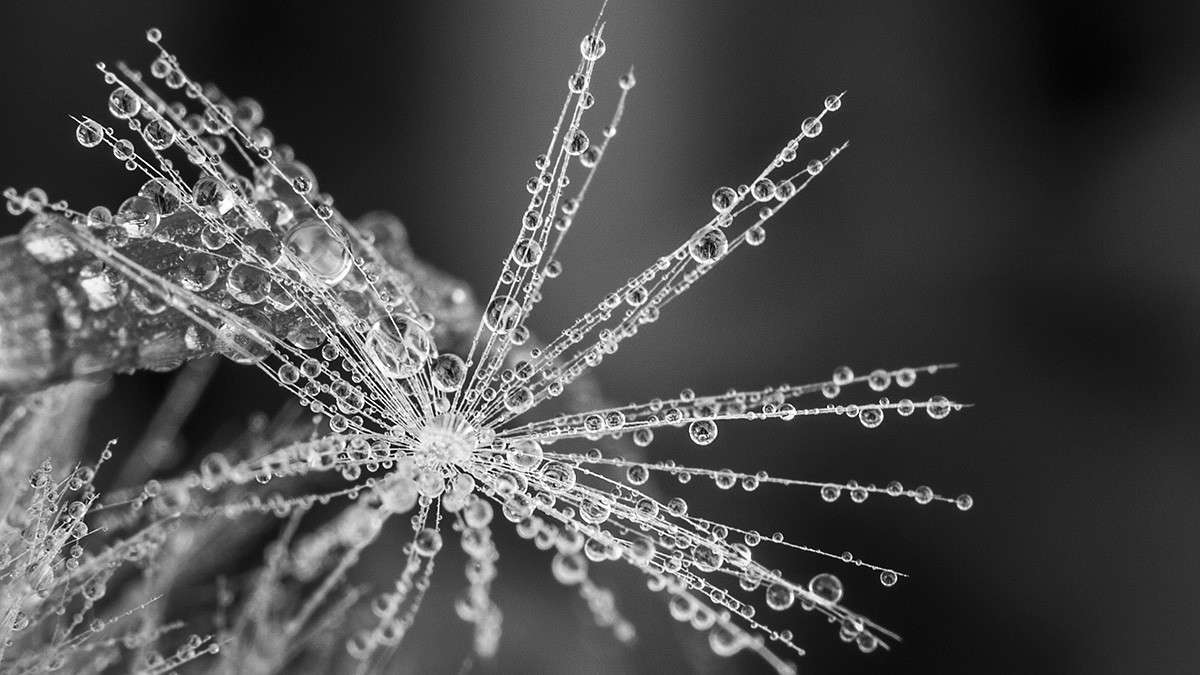 *** ����� ������� ������� �� PhotoGeek.ru #�����