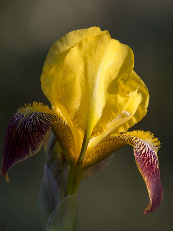 *** ����� ������� ������� �� PhotoGeek.ru #����� ��������������