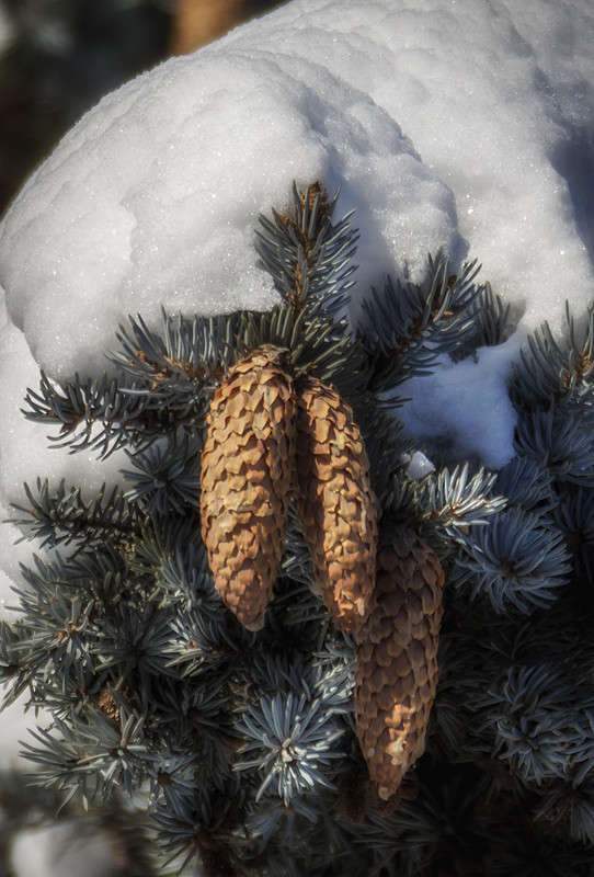 *** ����� ������� ������� �� PhotoGeek.ru #����� ��������������