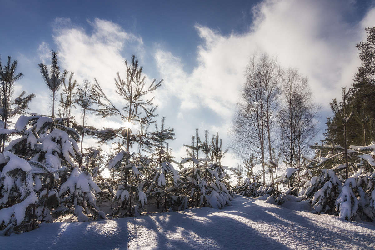 *** ����� ������� ������� �� PhotoGeek.ru #������ ��� �������