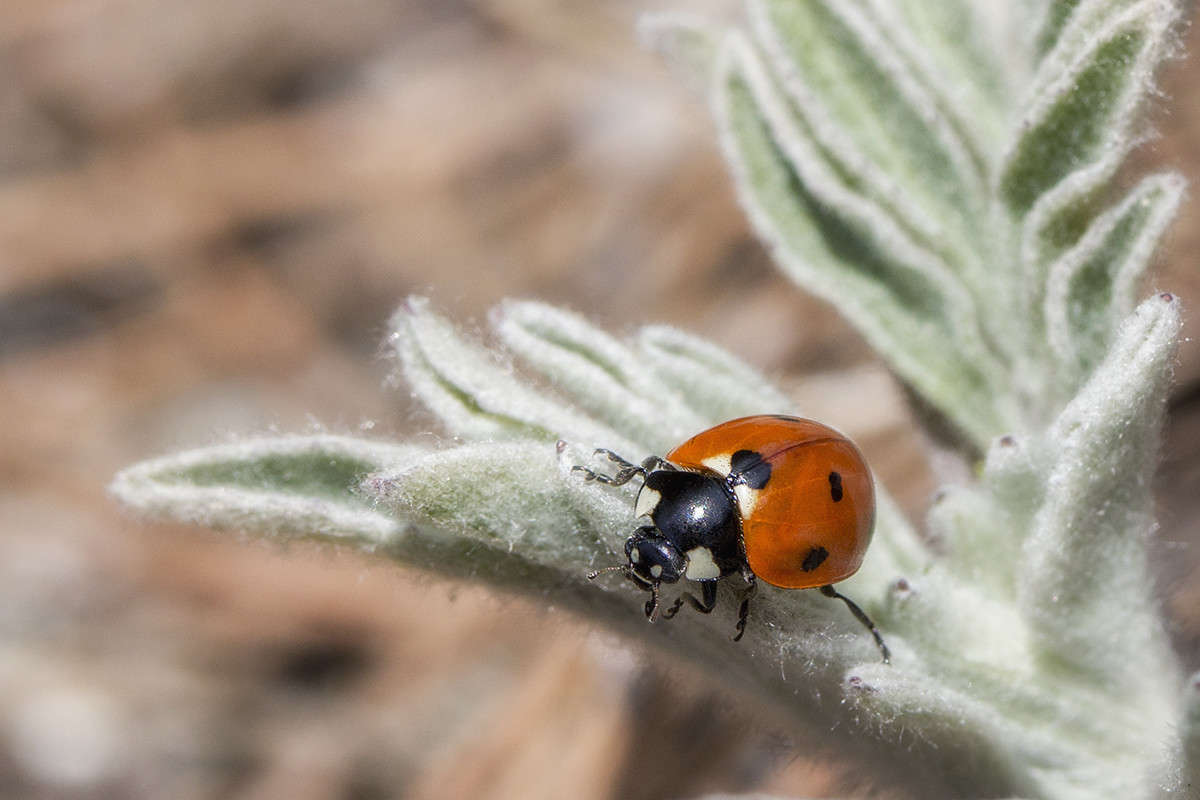 ���������� ����� ������� ������� �� PhotoGeek.ru #����� #���������