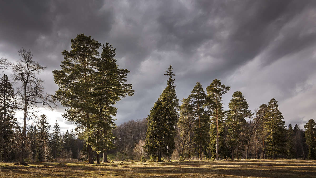 ����� ����� ������� ������� �� PhotoGeek.ru #������ ��� �������