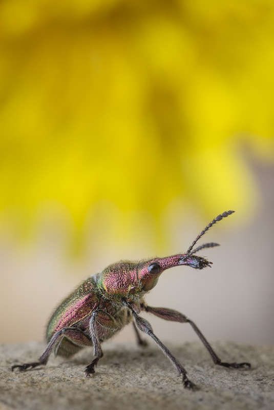 ��� ������������� ������� ����� ������� ������� �� PhotoGeek.ru #����� #����� �������������� #���������