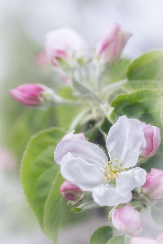 *** ����� ������� ������� �� PhotoGeek.ru #������ ��� ������� #����� ��������������