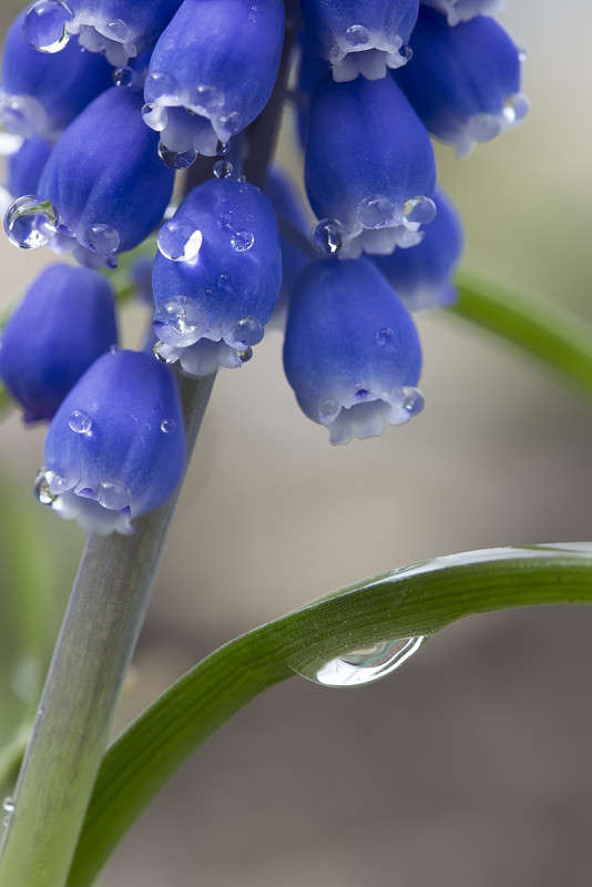 *** ����� ������� ������� �� PhotoGeek.ru #����� #����� ��������������