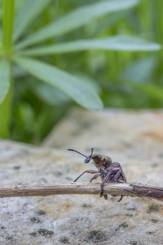 *** ����� ������� ������� �� PhotoGeek.ru #����� #���������