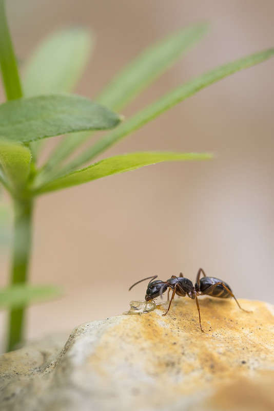 *** ����� ������� ������� �� PhotoGeek.ru #����� #���������