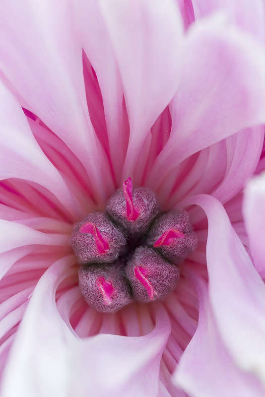 *** ����� ������� ������� �� PhotoGeek.ru #����� #����� ��������������