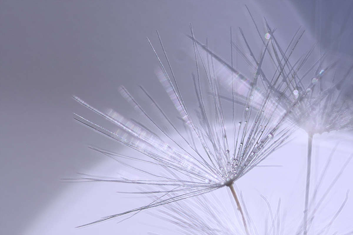 *** ����� ������� ������� �� PhotoGeek.ru #�����