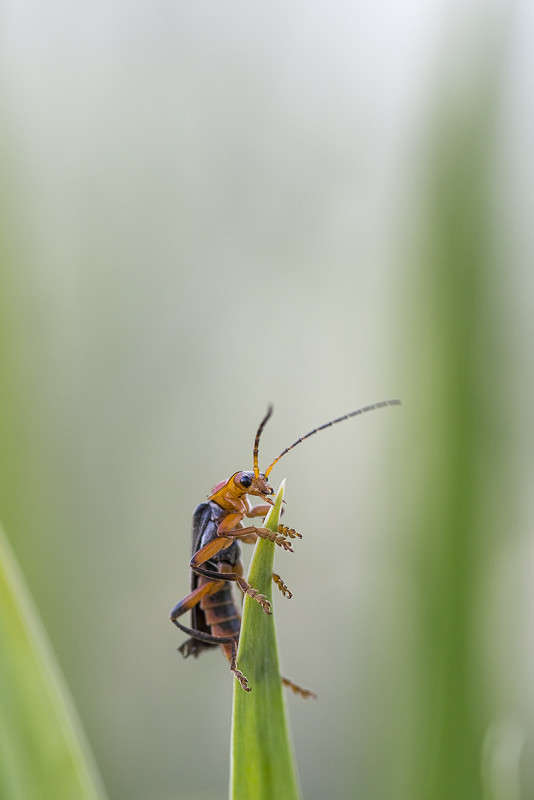 *** ����� ������� ������� �� PhotoGeek.ru #����� #���������