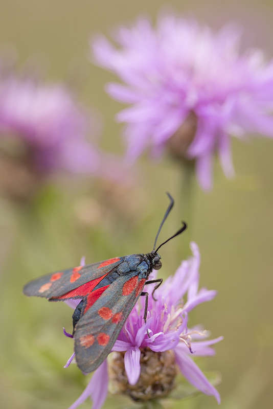 *** ����� ������� ������� �� PhotoGeek.ru #����� #���������