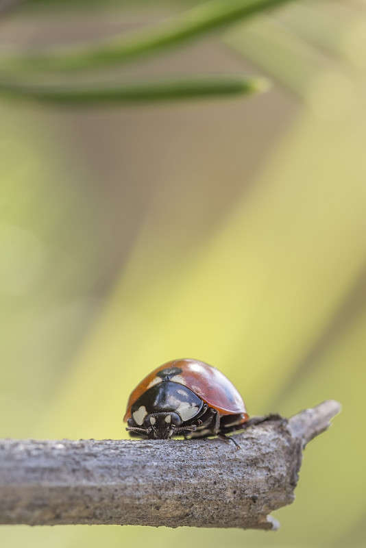 *** ����� ������� ������� �� PhotoGeek.ru #����� #���������