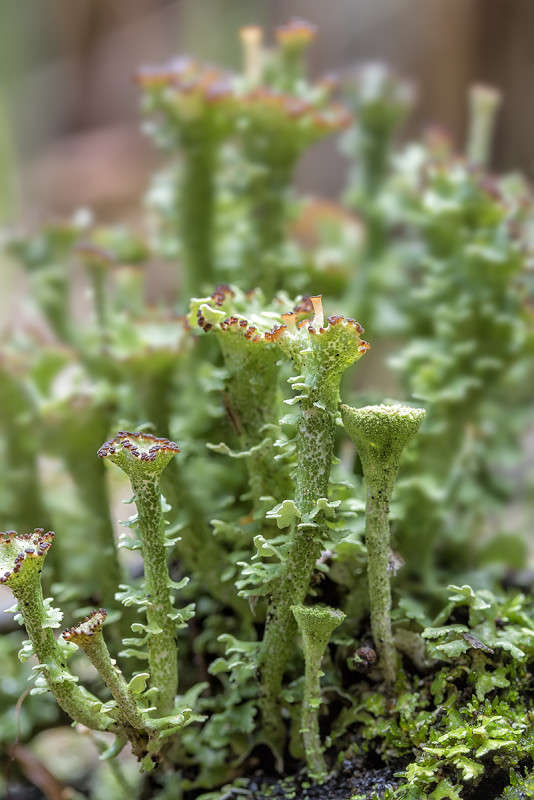 ... ����� ������� ������� �� PhotoGeek.ru #����� #����� ��������������