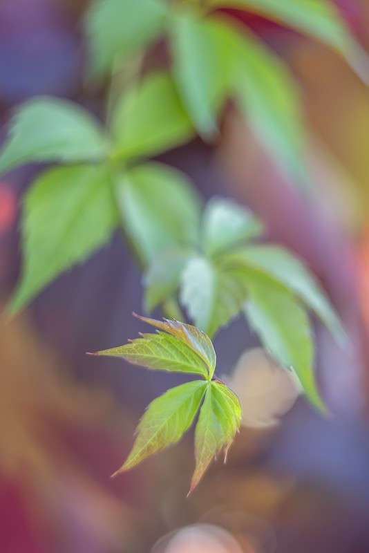 *** ����� ������� ������� �� PhotoGeek.ru #����� ��������������