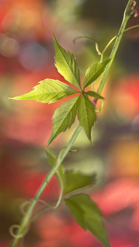 *** ����� ������� ������� �� PhotoGeek.ru #����� ��������������