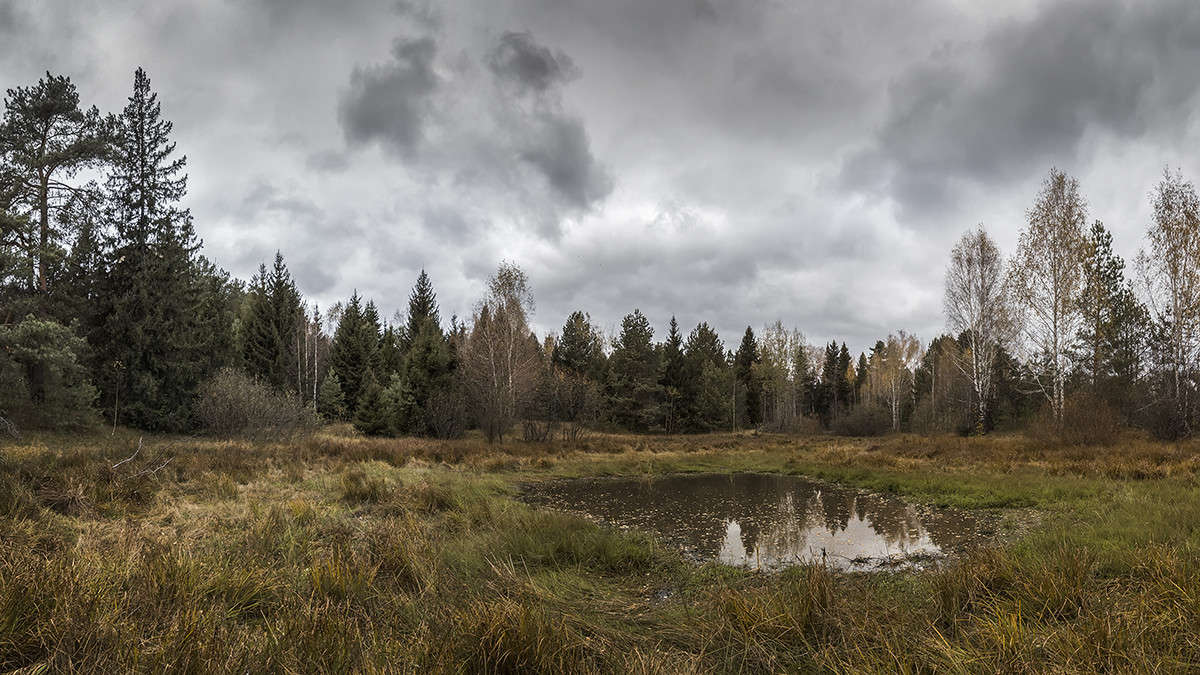 *** ����� ������� ������� �� PhotoGeek.ru #������ ��� �������