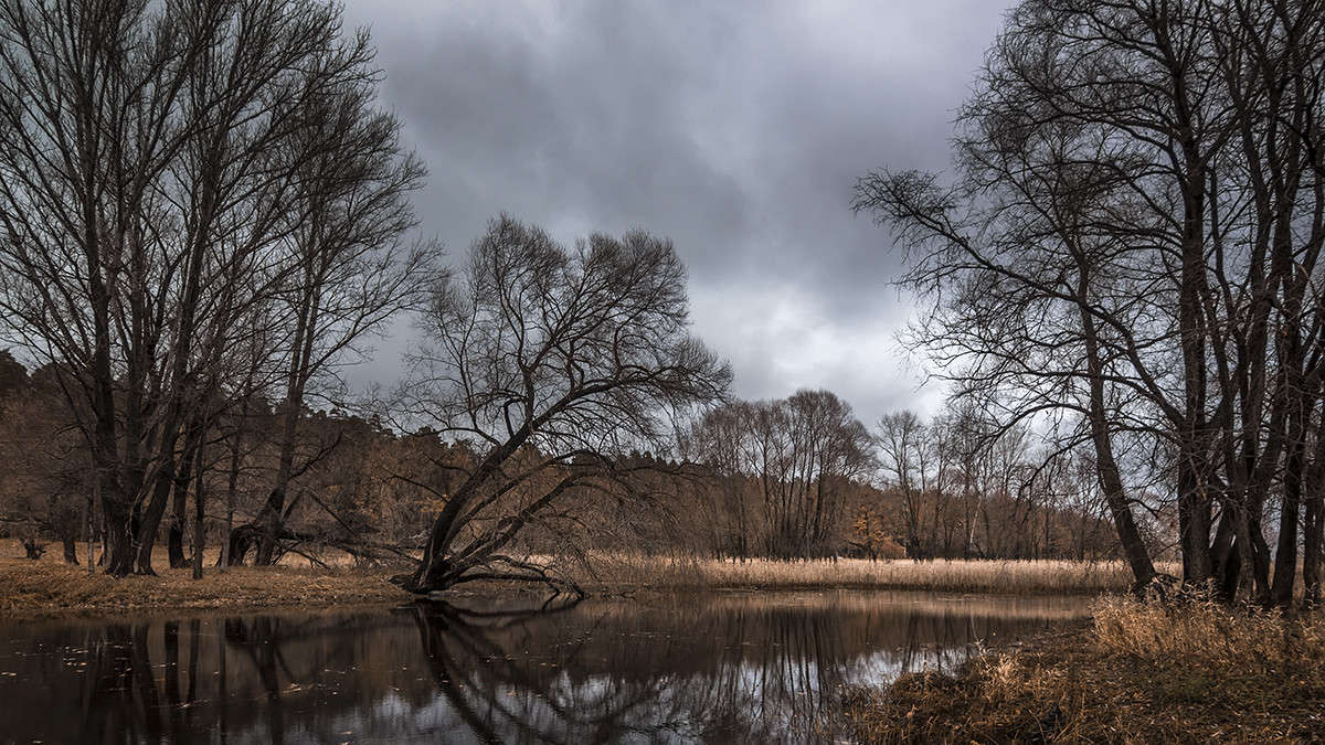 ������� ����� ����� ������� ������� �� PhotoGeek.ru #������ ��� �������