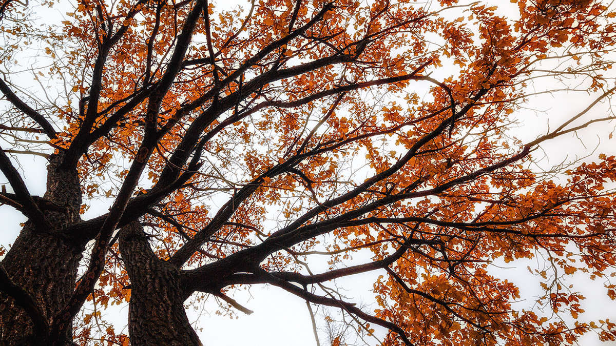 *** ����� ������� ������� �� PhotoGeek.ru #����� ��������������