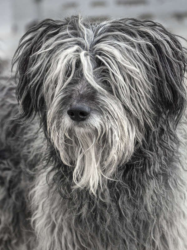 *** ����� ������� ������� �� PhotoGeek.ru #�������� ���