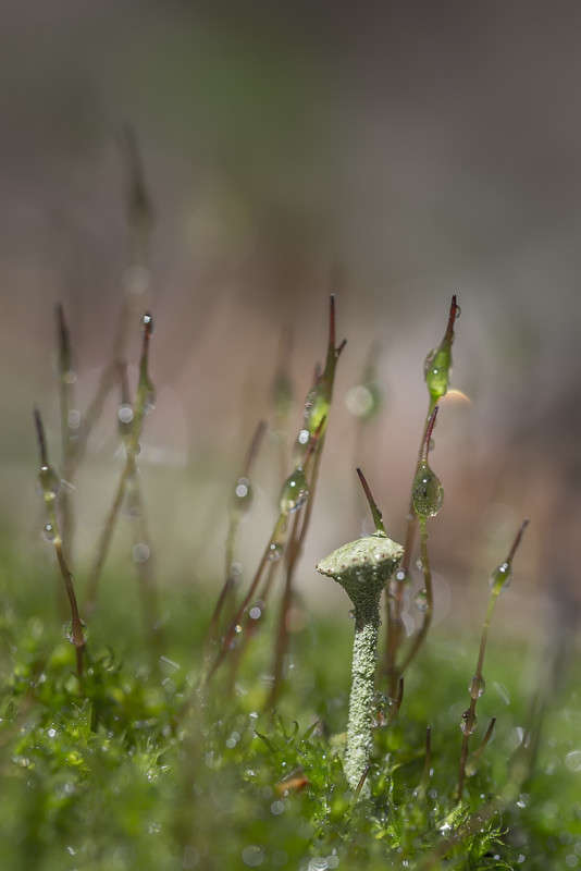 *** ����� ������� ������� �� PhotoGeek.ru #����� #����� ��������������