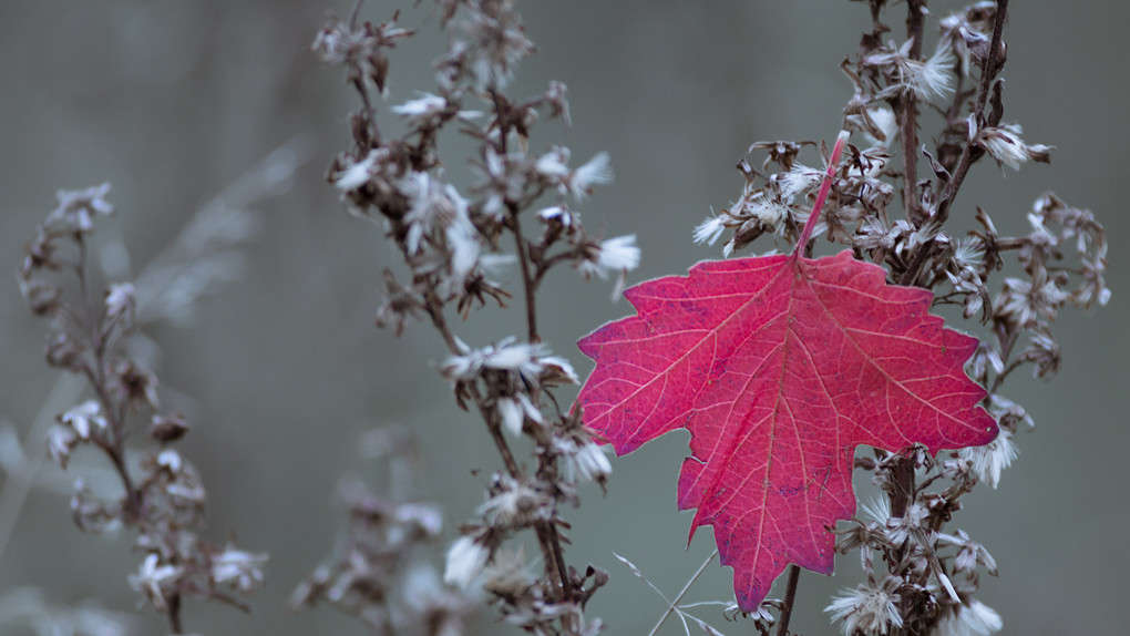 � ����� ����� ����� ������� ������� �� PhotoGeek.ru #������ ��� �������