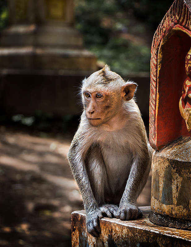 ������ �����, � ��� � ������... ����� ������� ������� �� PhotoGeek.ru #�������� ���