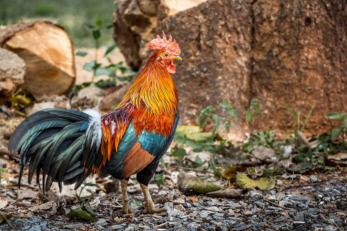 ������ ���� ����� ������� ������� �� PhotoGeek.ru #�������� ��� #�����