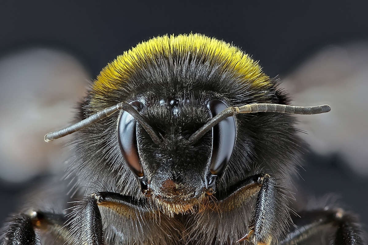 ������� ����� ����� ������� ������� �� PhotoGeek.ru #����� #�������� ��� #���������