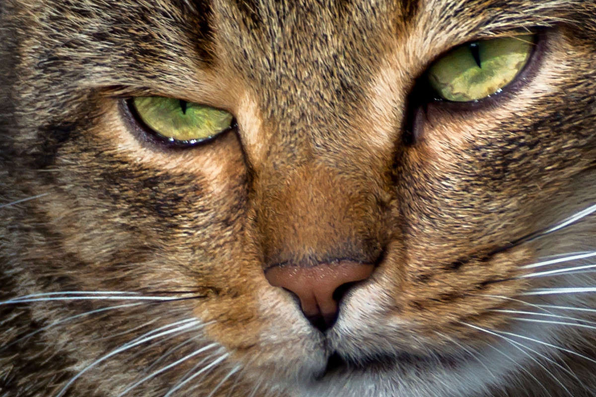 ... ����� ������� ������� �� PhotoGeek.ru #�������� ��� #�����