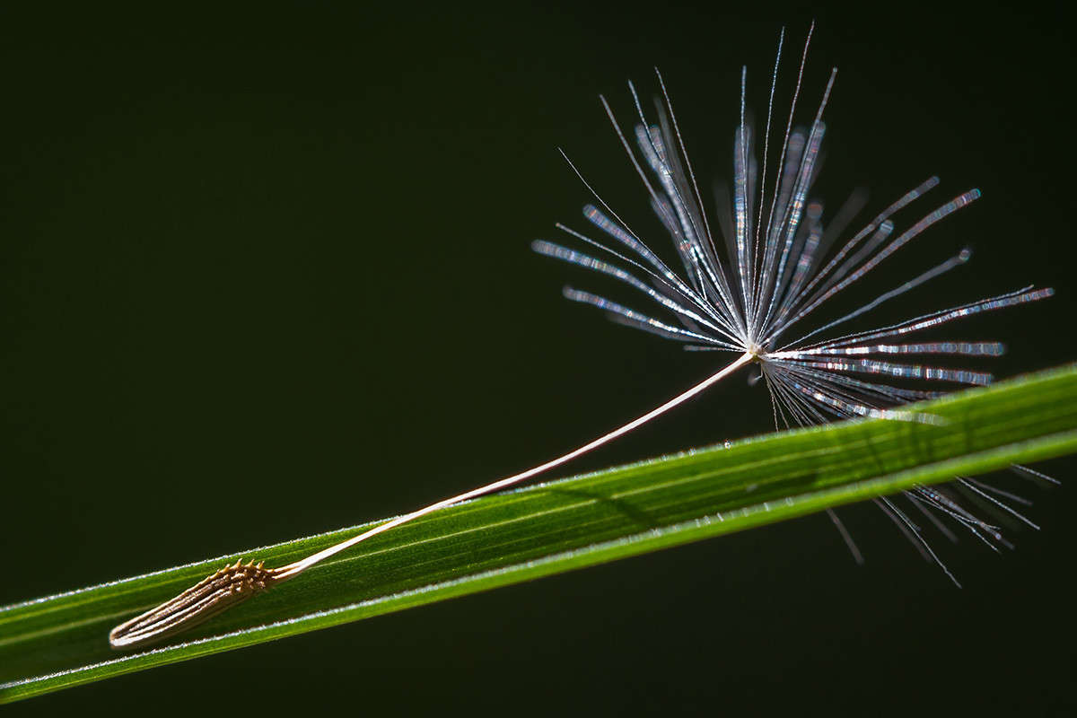 ������� ����� ������� ������� �� PhotoGeek.ru #����� #����� ��������������