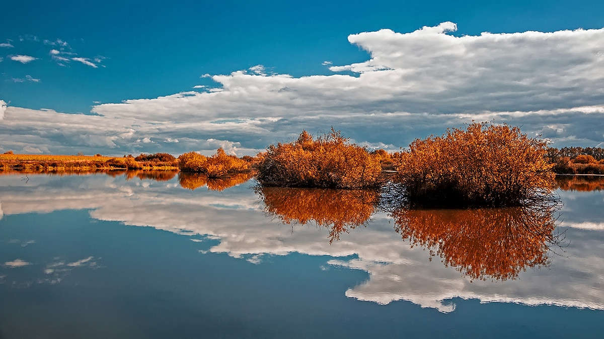 ��������� ����� ������� ������� �� PhotoGeek.ru #������ ��� ������� #������