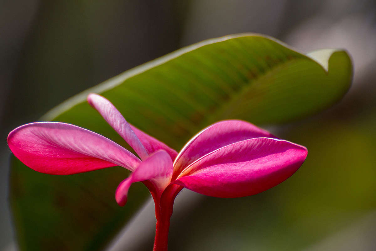 �������� ����� ������� ������� �� PhotoGeek.ru #����� �������������� #�����