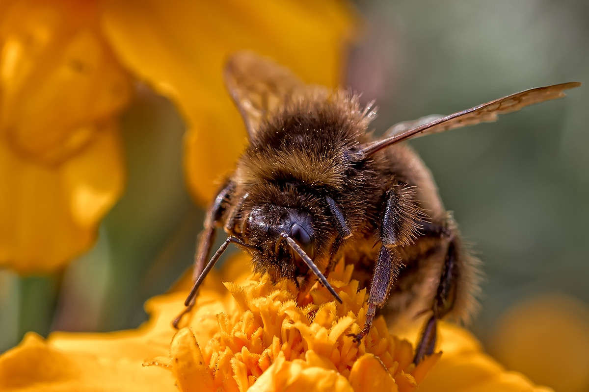 ������� ����� ������� ������� �� PhotoGeek.ru #����� #���������